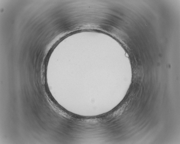 X0000070201126200606161609
