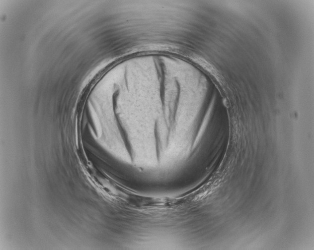 X0000070201127200606161609