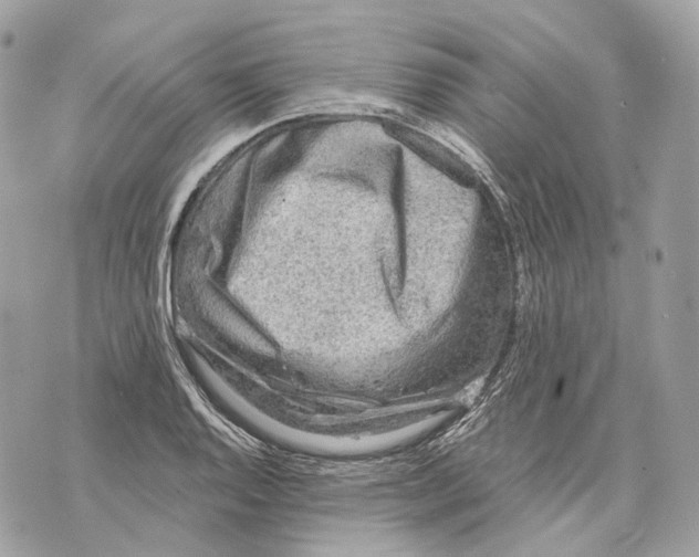 X0000070201128200606161609