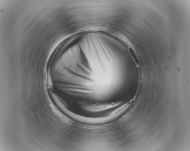 X0000070201132200606161609