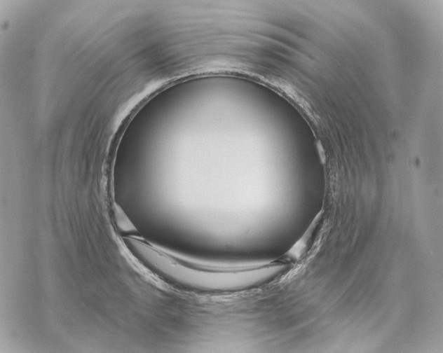 X0000070201134200606161609