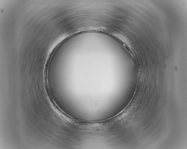 X0000070201135200606161609