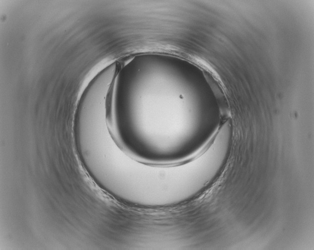 X0000070201138200606161609