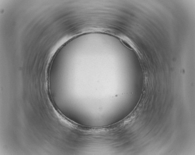 X0000070201143200606161610
