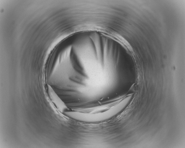 X0000070201144200606161610