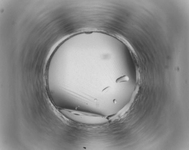 X0000070201148200606161610