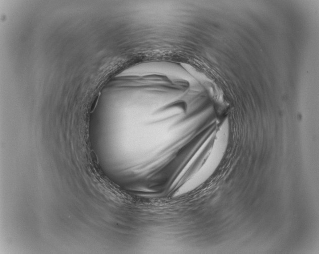 X0000070201153200606161609