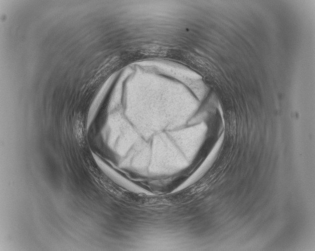 X0000070201154200606161609