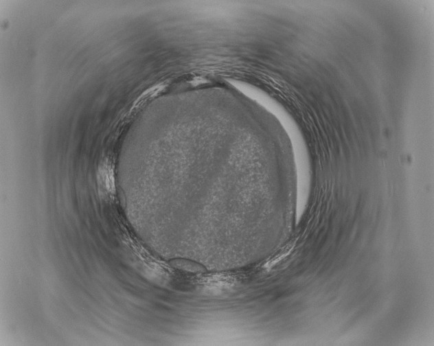 X0000070201155200606161609