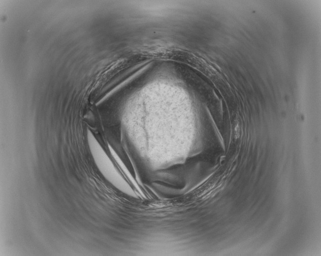 X0000070201156200606161609