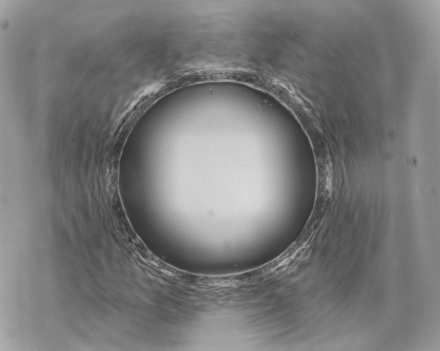 X0000070201157200606161609
