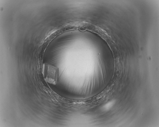 X0000070201158200606161609