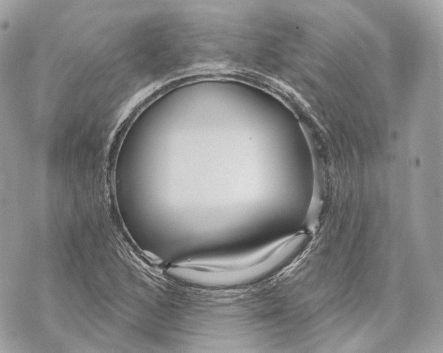 X0000070201168200606161609