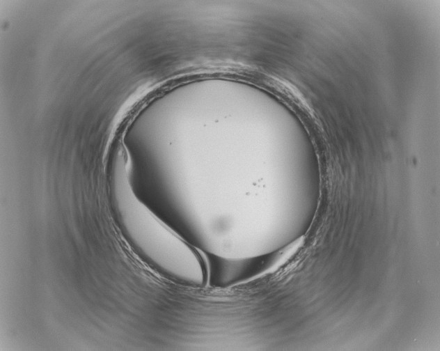 X0000070201172200606161609
