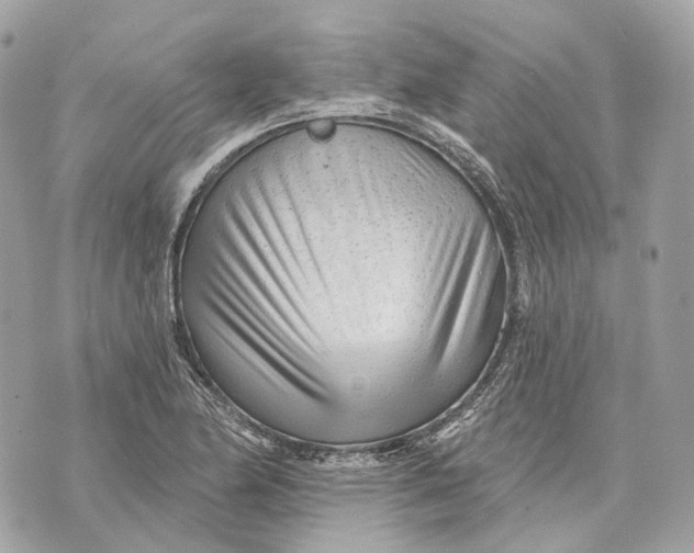 X0000070201174200606161609