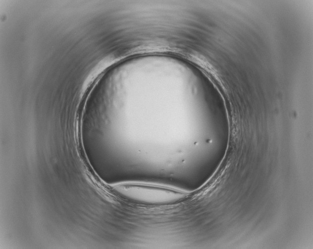 X0000070201179200606161608