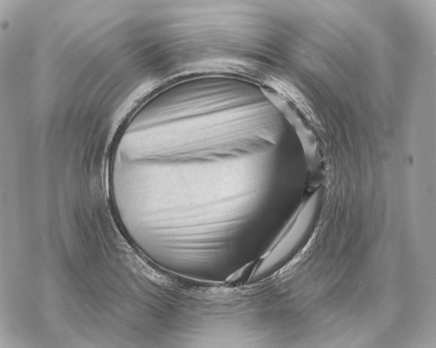 X0000070201180200606161608