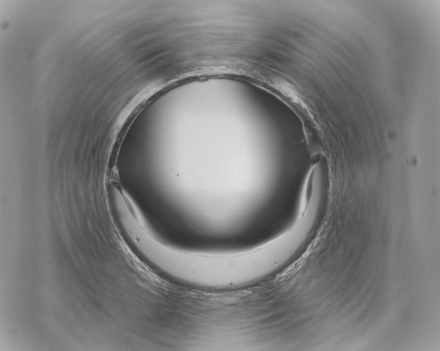 X0000070201181200606161608