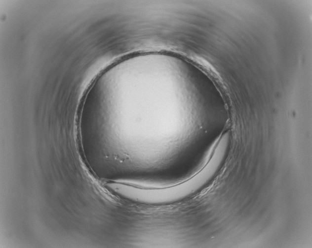 X0000070201183200606161608