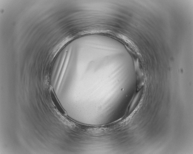 X0000070201185200606161608