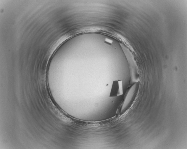 X0000070201186200606161608