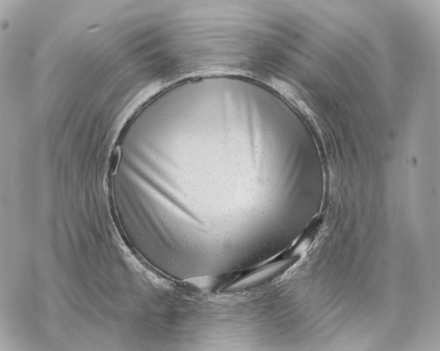 X0000070201189200606161608