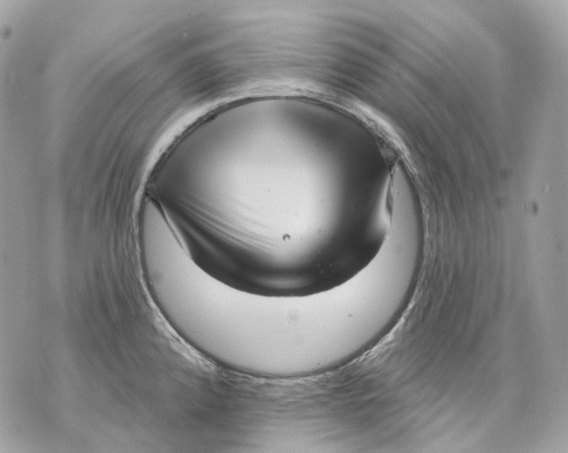 X0000070201192200606161608