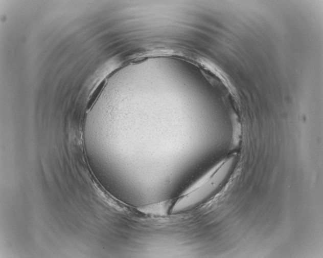 X0000070201193200606161608