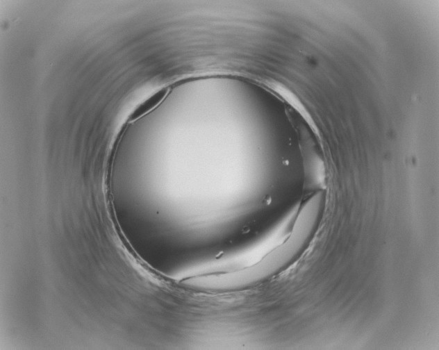X0000070201197200606161608