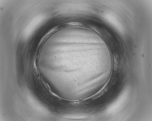 X0000070201198200606161608