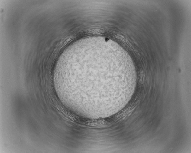 X0000070201201200606161607