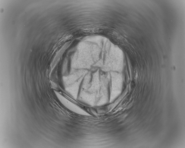 X0000070201202200606161607
