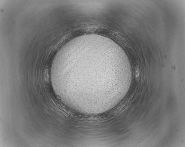 X0000070201204200606161607