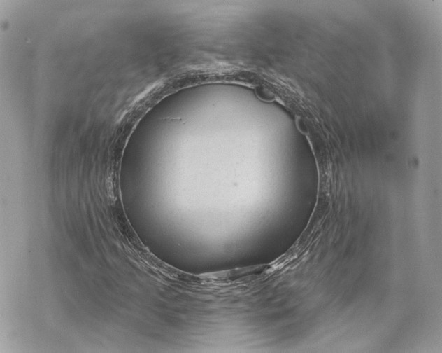 X0000070201205200606161607