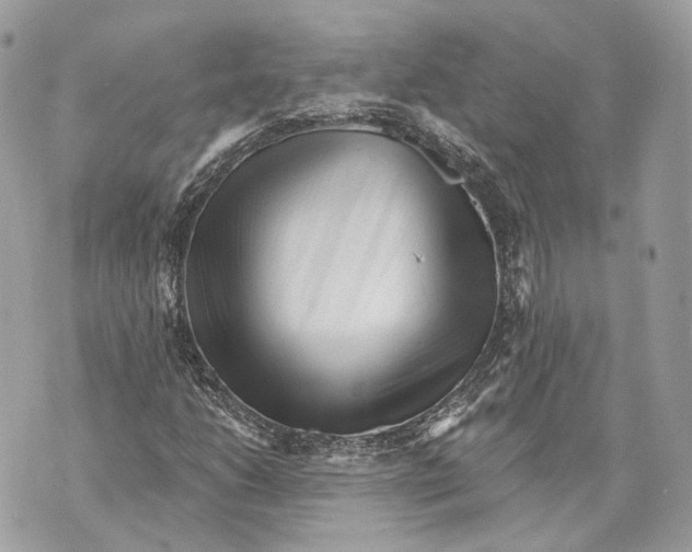 X0000070201206200606161607