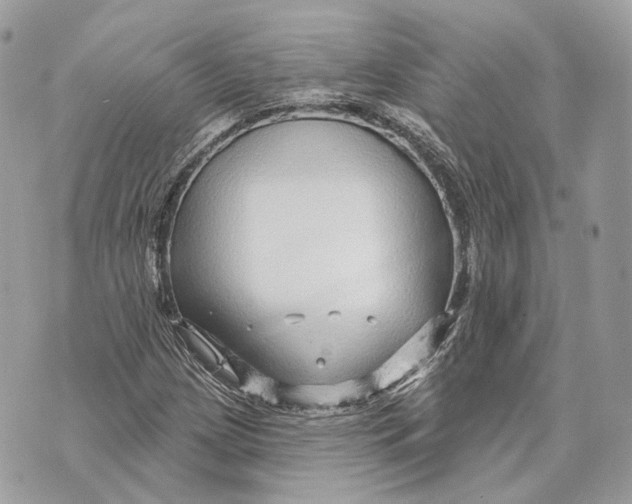 X0000070201209200606161607