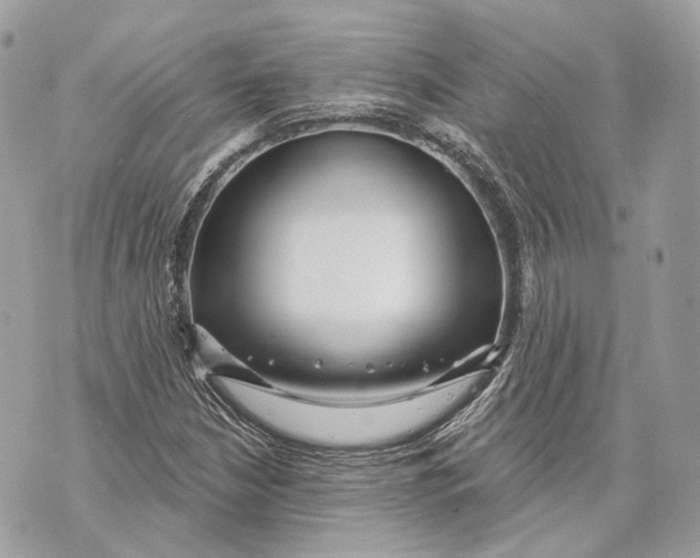 X0000070201210200606161607