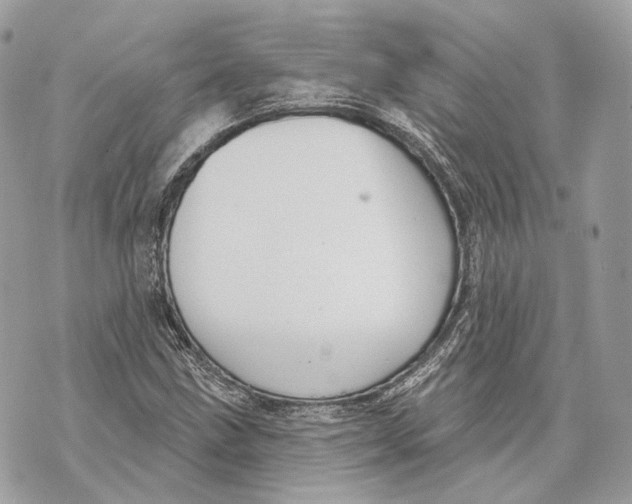 X0000070201211200606161607