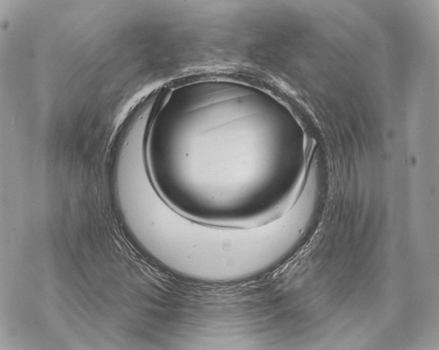 X0000070201214200606161608