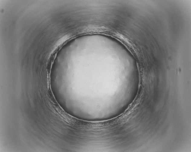 X0000070201219200606161608