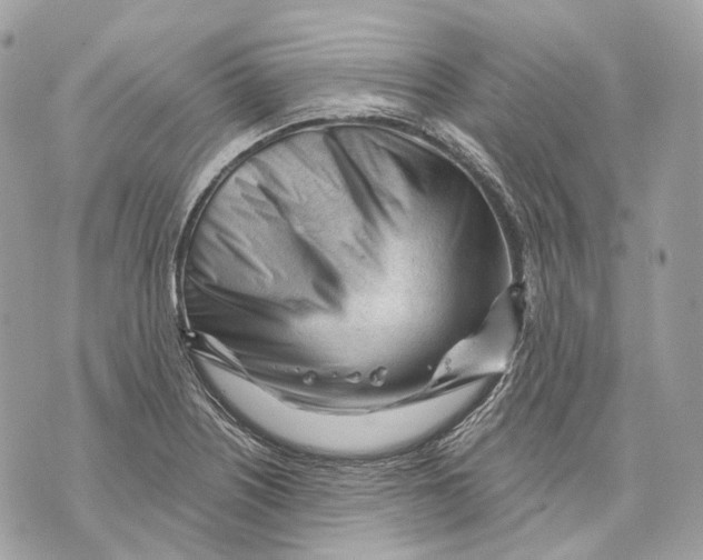 X0000070201226200606161608