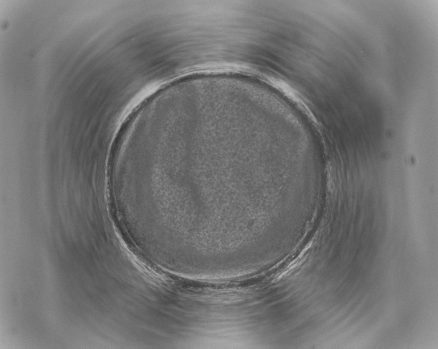 X0000070201229200606161608