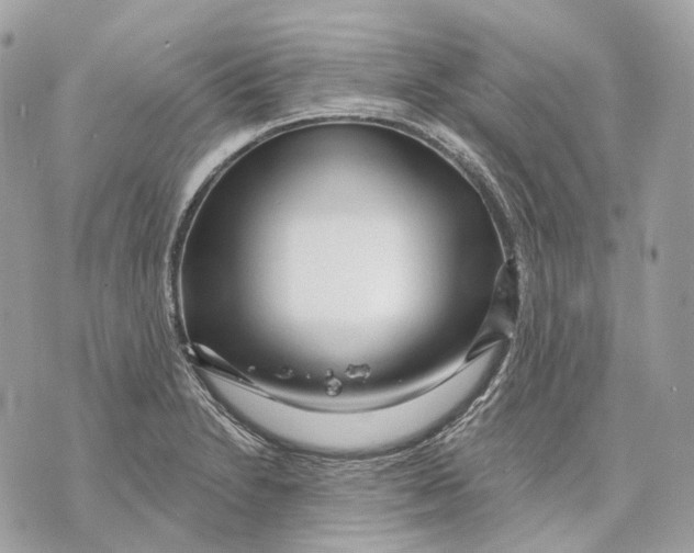 X0000070201230200606161608