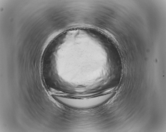 X0000070201231200606161608