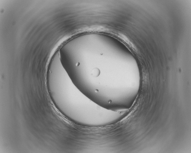 X0000070201232200606161608