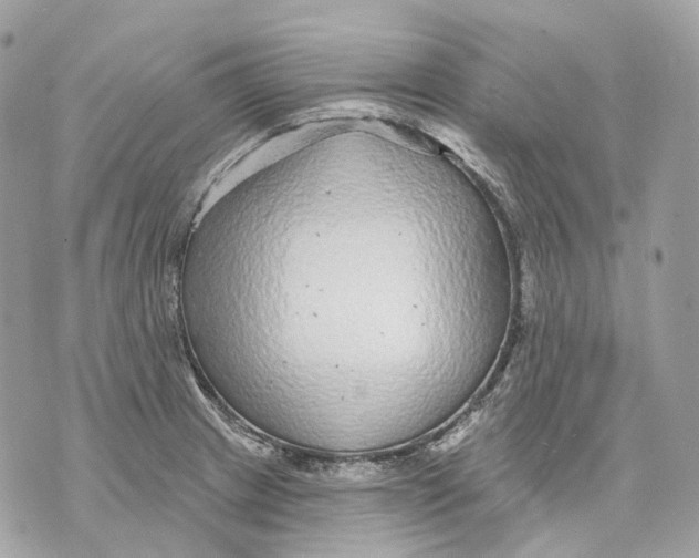 X0000070201233200606161608