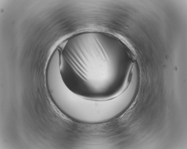 X0000070201238200606161608