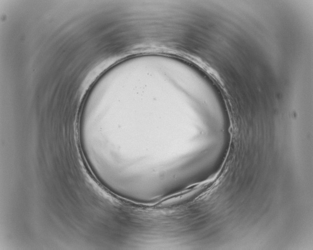 X0000070201239200606161608