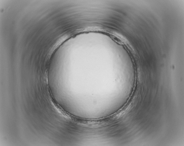 X0000070201241200606161608