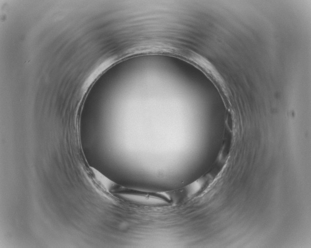 X0000070201242200606161608